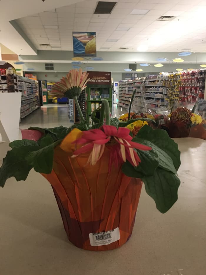 The main stem is completely dropped over, the petals are dropping both forward and backward, and even the leaves are bent downward.