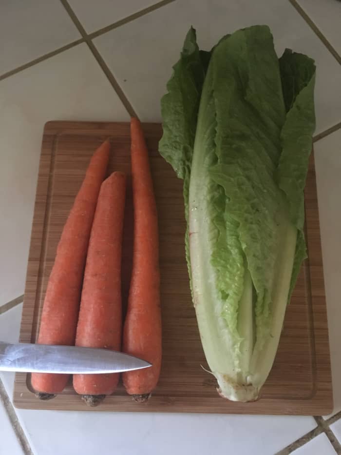 Cut carrots and lettuce where you see the front edge of the knife. Remove outer edge of lettuce. New leaves grow from the middle.