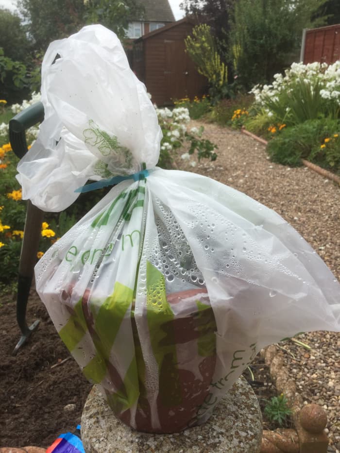 We should all be trying to avoid picking up a plastic carrier bag at the supermarket but ocassionally one finds it way into the home. Here's a way to make use of it