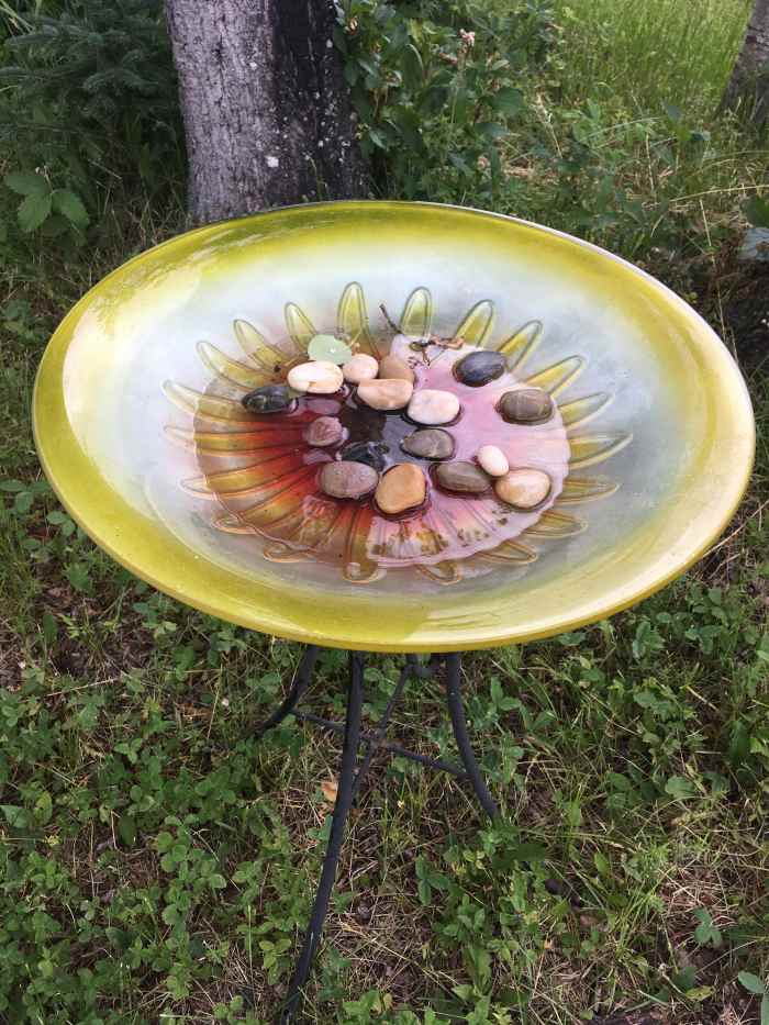 It's important to provide water. I used an old bird bath and made it a place for bees and butterflies to get water.