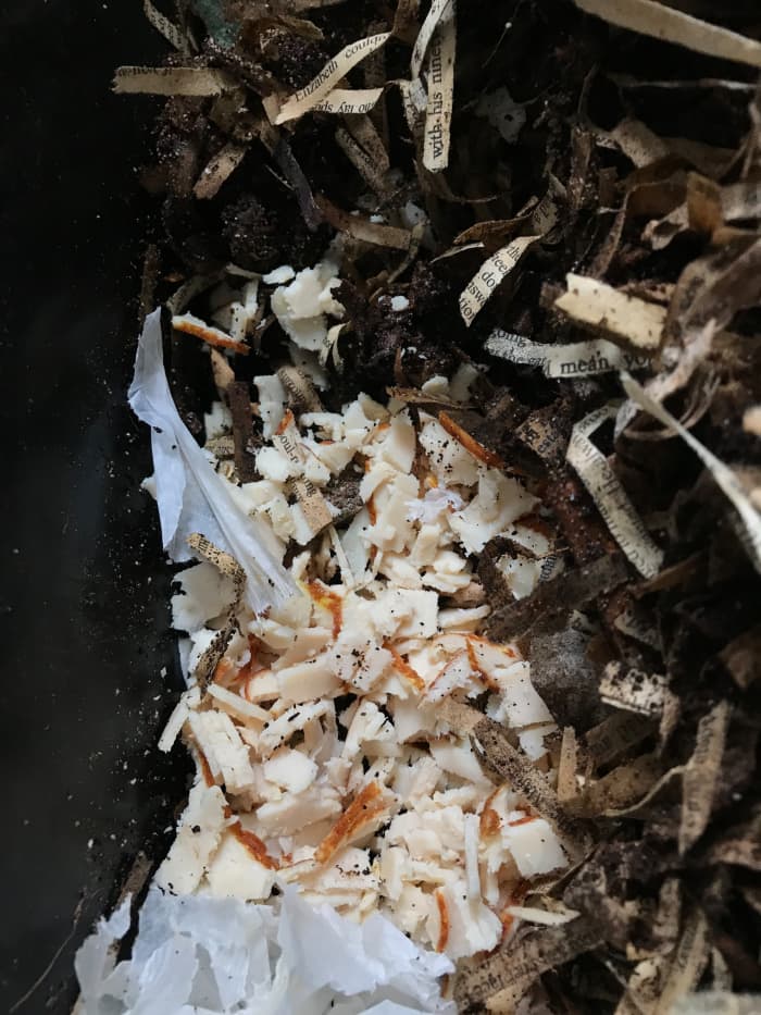 Dig a hole into the bedding to add food. Cover up this food with bedding materials before closing the bin.