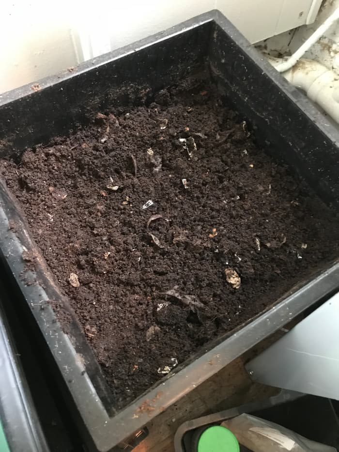 This vermicompost is ready to use on plants. There is still some visible cardboard left.