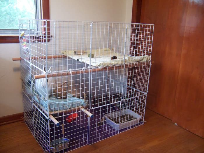 Even if you plan to let your rabbit roam free in your home, it still needs a "safe" place that's only its own. This is where you'll feed the rabbit and put it at night or while you're away from home.