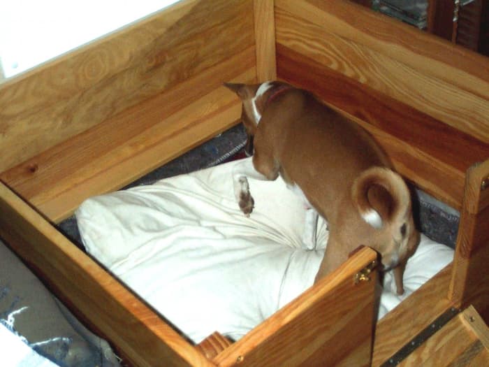This small whelping box is outfitted with fabric and a cushion so that the dog and her pups can be as comfortable as possible during and after the birthing process.
