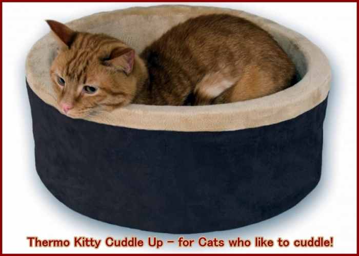 Heated Cat Beds (Indoor, Outdoor, and Alternatives