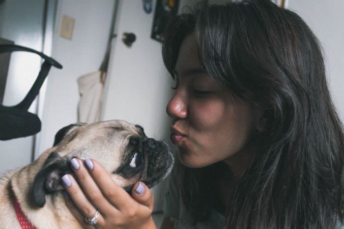 Kissing, hugging, and other displays of human affection do not exist in the dog world, so it is unlikely that they would incite jealousy in a canine observer.