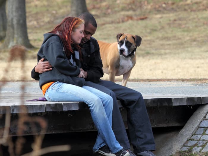 Regardless of the reason for your dog's inconvenient behavior, there are steps you can take to try to condition it away.