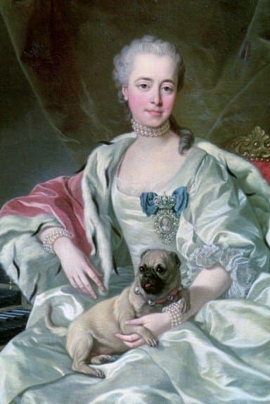Portrait of Princess Ekaterina Dmitrievna Golitsyna by Louis-Michel van Loo (1759) Wikipedia Commons