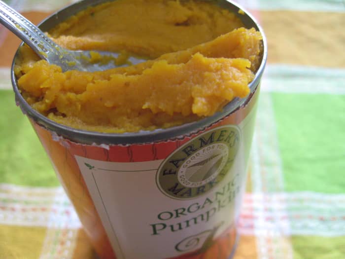 Adding pumpkin to your homemade dog treat will give your dog many important vitamins and minerals.