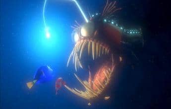 Deep sea fish such as this angler fish cannot survive on the surface or in aquariums because they will blow up due to the gas spaces contained in their bodies mixing with low pressure, while surface fish would be crushed in the deep sea.