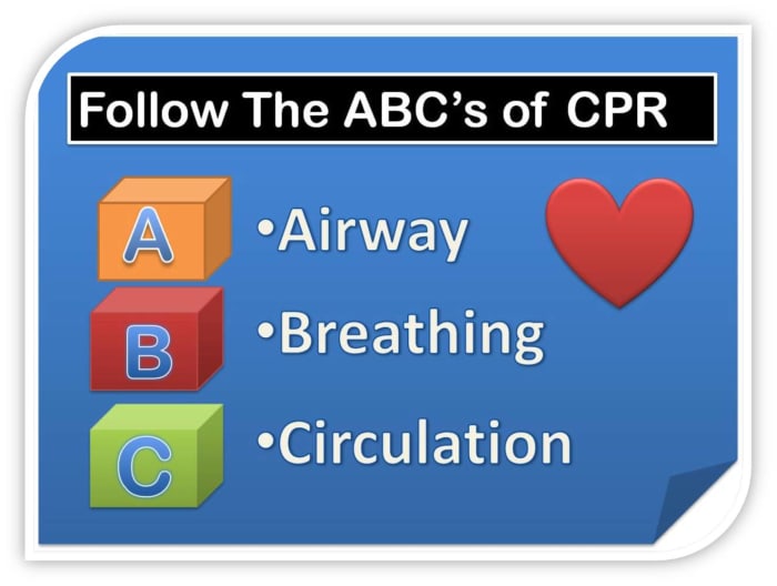 how-to-perform-cpr-on-your-dog