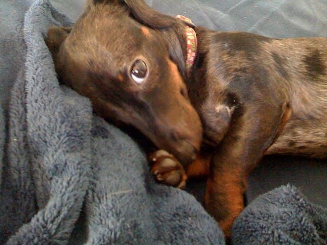 Wouldn't you like to wake up to this face for the next 16 or 17 years?