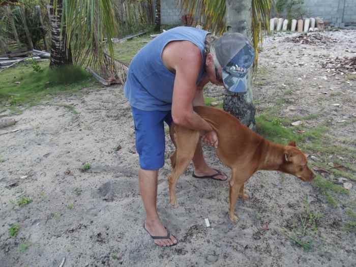 The Most Effective Way to Save Your Choking Dog's Life PetHelpful