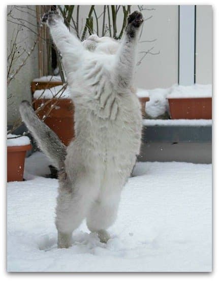 I am fabulous!