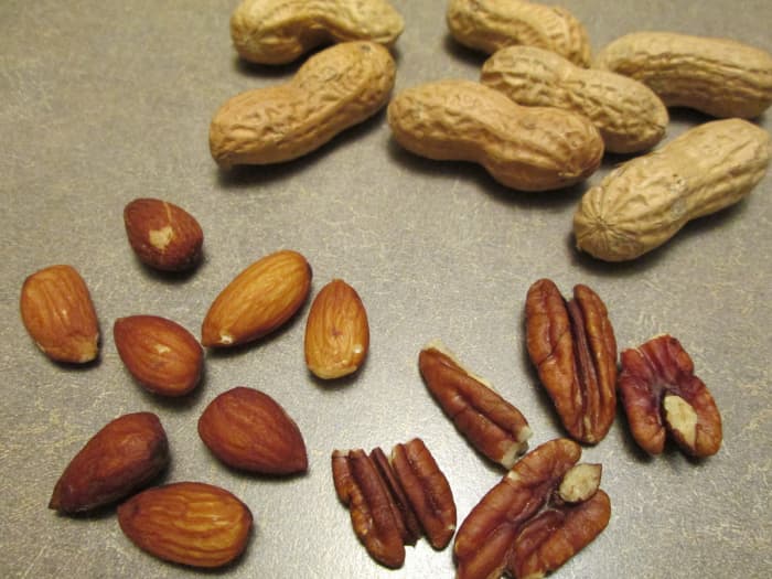 Parakeets can eat a variety of nuts. They can be ground or chopped up finely and added to a parakeet's seed/pellet mix