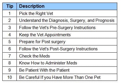 десять советов для успешной операции на собаке
