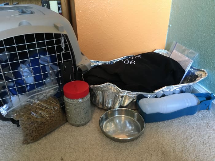 Emergency supplies needed for a cat: travel carrier, food (including wet canned food), food and water dishes, blankets, disposable litter box, litter, and official paperwork kept in a sealed baggie.