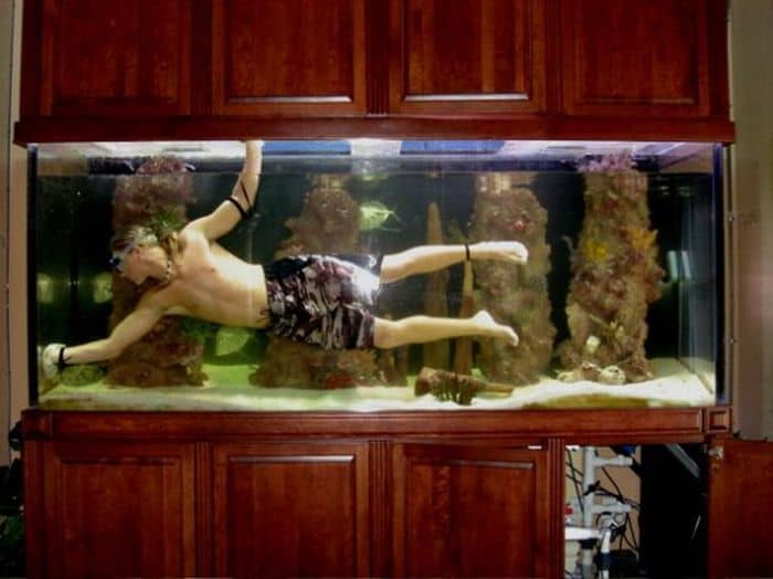 Here's a secret: A healthy aquarium is always partially dirty! It's dangerous to keep your tank utterly spotless.