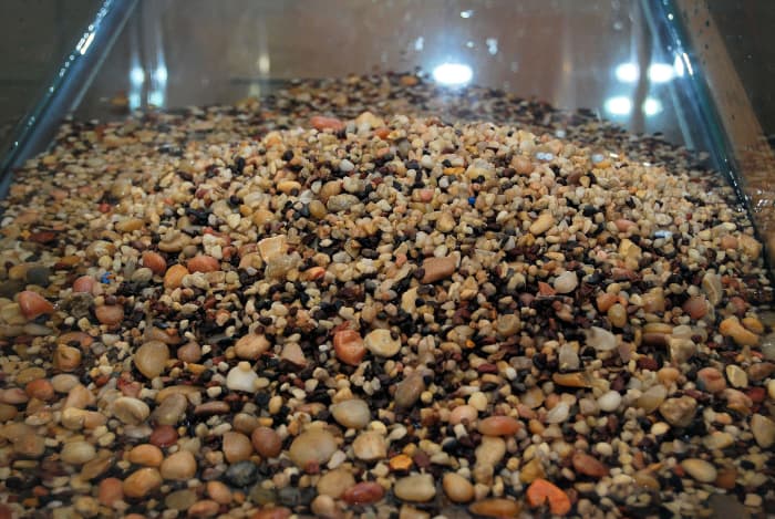 Not all gravels are created equal. Make sure you choose the right cover for the bottom of your tank.