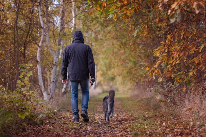 Avoid lonely areas. Isolation may be good for the soul but if you run into trouble, a walk can turn dangerous.
