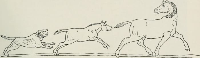 Dogs have been hunting companions for humans since the Stone Age. Back then, they probably shared in the hunters' spoils. They certainly didn't eat canned food!