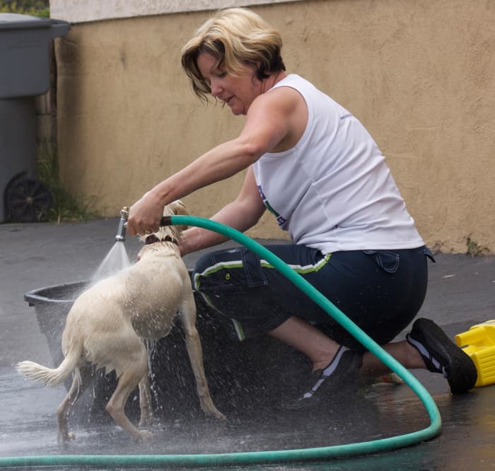 Bathing your dog can be a lot of work but is one of the best things you can do for itching.