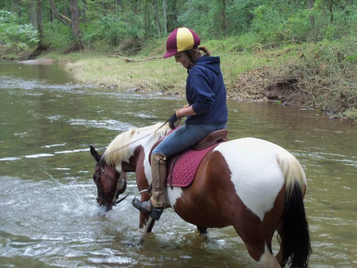 8 Qualities of a Great Horse Rider PetHelpful