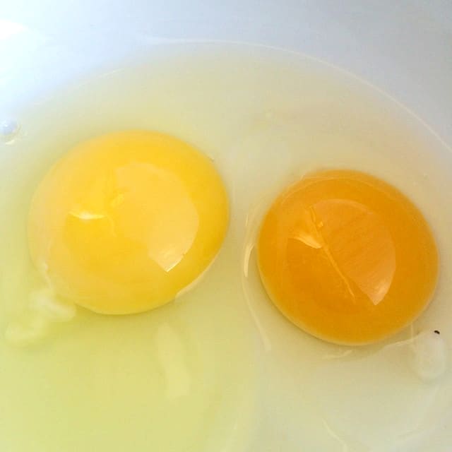 Яичный желток в клетке (слева) и цвет яичного желтка на свободном выгуле (справа).