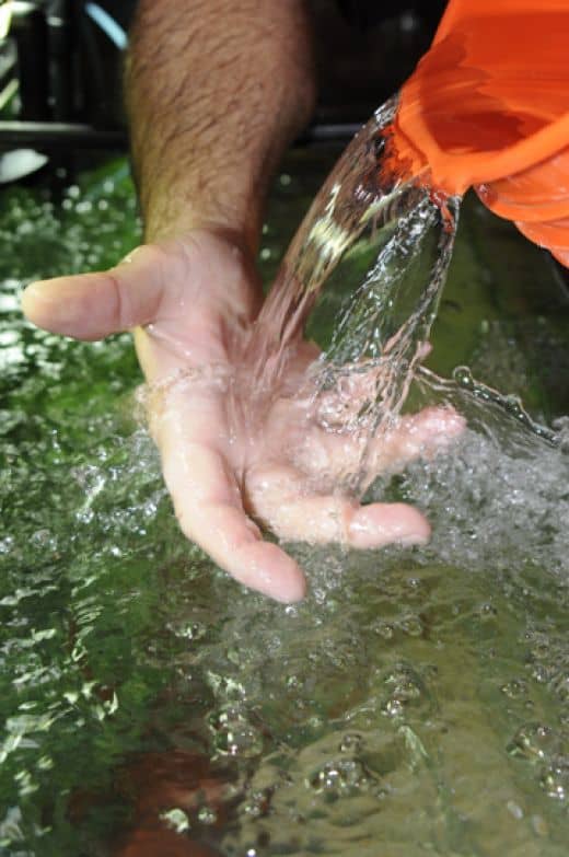 When filling the tank, be sure to pour the water on your hand to break the force of the water. In the old days we would pour it over a plate that would break the fall.