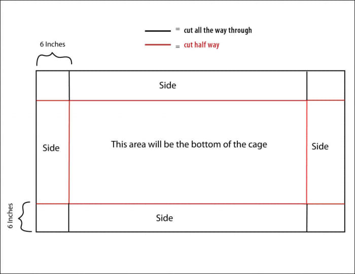 Click to enlarge. Cut red lines only through first layer of coroplast. Cut black lines all the way through the sheet.