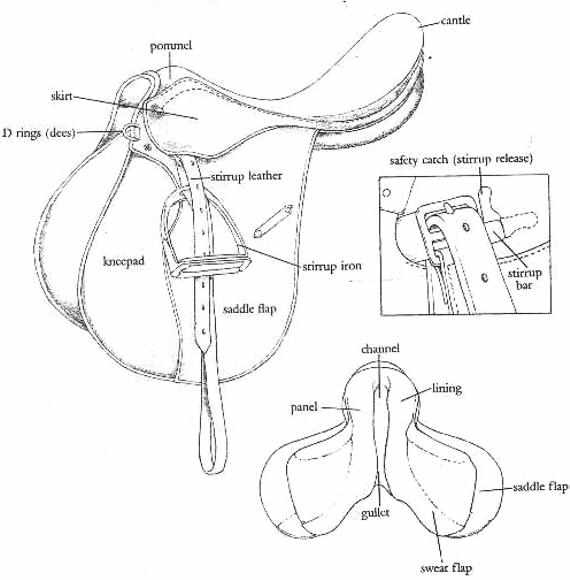 Equestrian Essentials Horse Riding Equipment and Horse Clothing