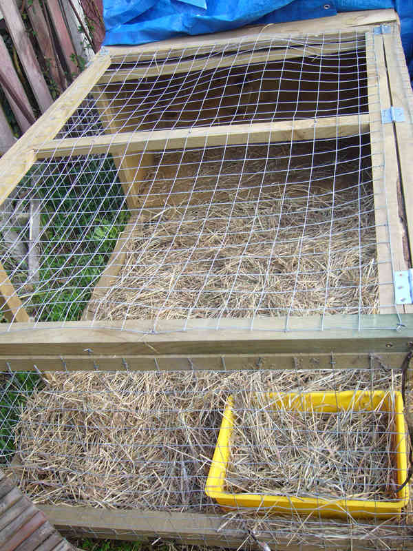 How to Keep a FreeRange Outdoor Rabbit PetHelpful