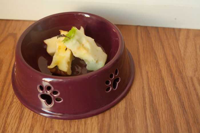 are-you-killing-your-dog-with-everyday-people-food-10-bad-treats-for-your-good-dog
