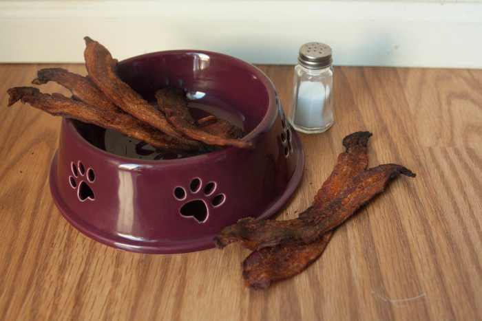 are-you-killing-your-dog-with-everyday-people-food-10-bad-treats-for-your-good-dog