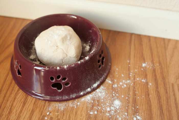 are-you-killing-your-dog-with-everyday-people-food-10-bad-treats-for-your-good-dog