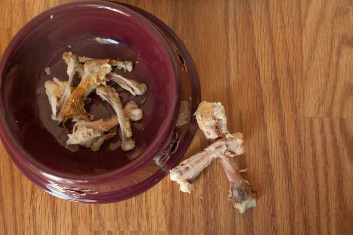 are-you-killing-your-dog-with-everyday-people-food-10-bad-treats-for-your-good-dog