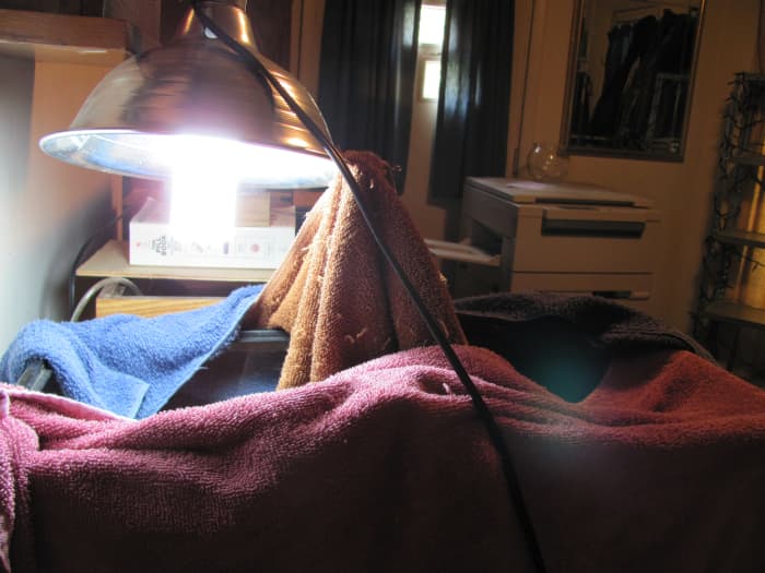 Here's a way of providing him more of a distinction between light and shade by separating the light and the rest of the space with a cloth.