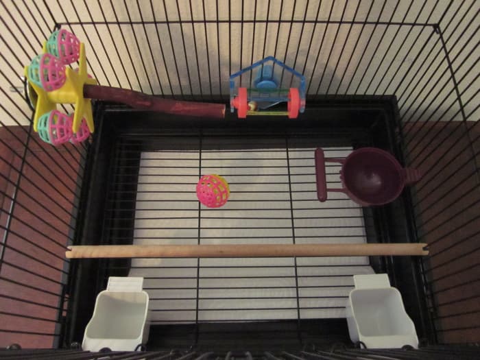 View of a budgie cage from above. Perches and toys can be arranged in such a way that best suits your bird.