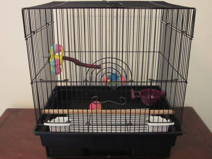 An example of a basic cage set-up for a budgie. (Pardon the absence of a mineral treat—I did not have one to use.)