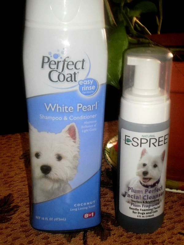 We love Perfect Coat Shampoo & Conditioner and Espree Facial Cleanser for keeping Sugar Pie clean.