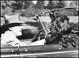 Franklin Roosevelt, a former President of the United States setting a bad example; and worse, in a convertible!
