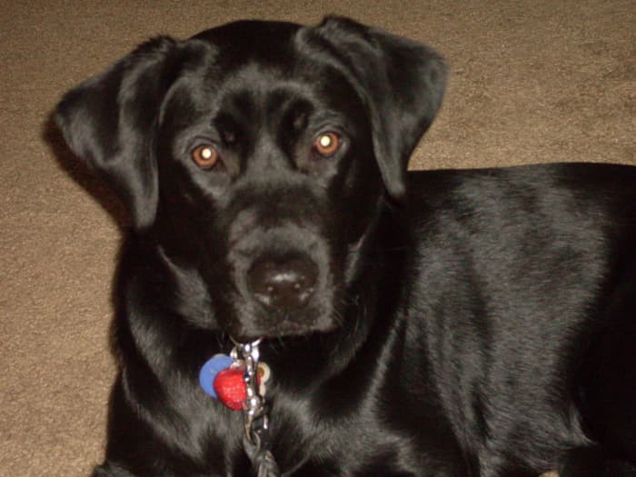 River, "I survived another bath. That wasn't as bad as I'd remembered..."