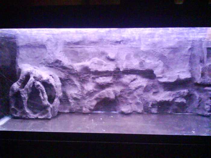 How to Make a 3D Fish Aquarium Background PetHelpful