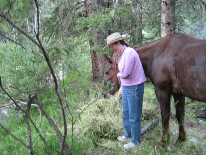 If your horse is already hard to bridle, you need to address the problem.