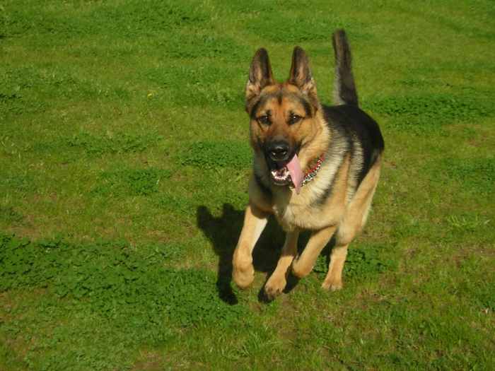 I think I'm ready to play outside now!