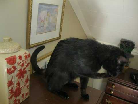 Approximately 8 Weeks Afterwards