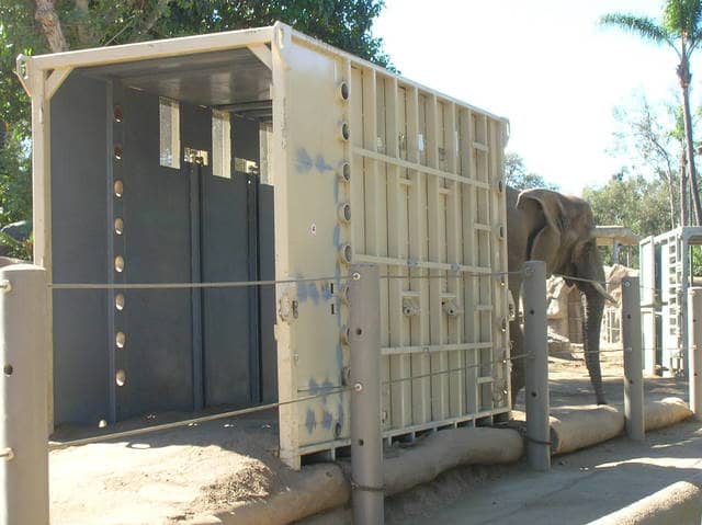 Crate training an elephant at the Los Angeles Zoo. The transport crate is positioned so that the animal must walk through it as part of its daily routine.