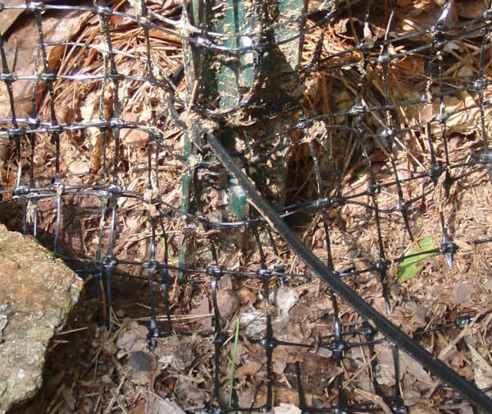 How to Build a Quick, Easy, and Inexpensive Dog Fence! PetHelpful