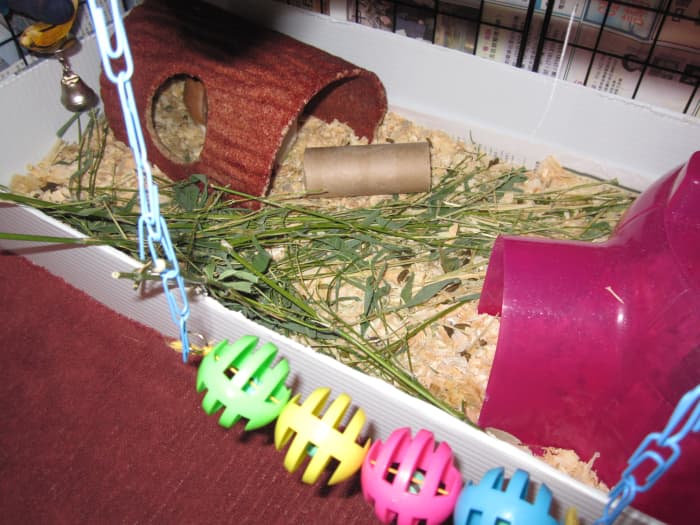 The bedding in this picture is pine chips, the chewing log and pigloo is to provide more dark area. There is also hay and bamboo inside the area.