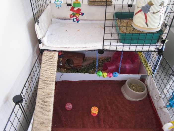 This is how it usually looks, although some days there will be wood chips outside if they kick or popcorn like crazy. The top is a bit dirtier, since we use that area to house them as we clean up.